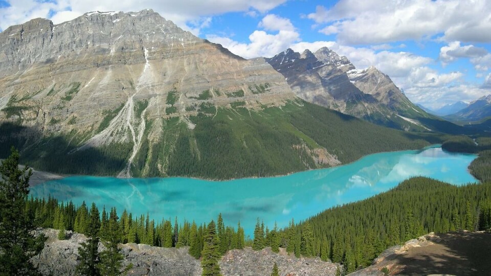 Fint: I Canada møter du ikke bare verdens best utdannede befolkning, men du får også med deg flott natur. Dette er et bilde av Peyto Lake i Banff National Park. FOTO: Wikimedia Commons/Tobi 87