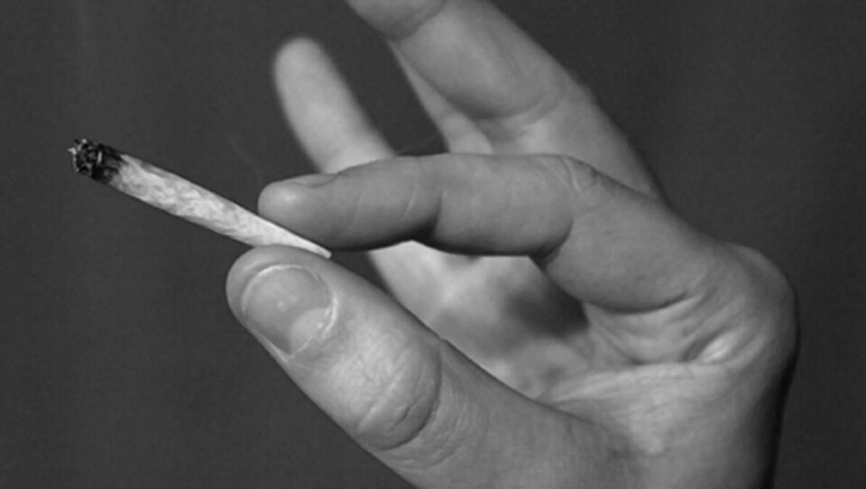 Selvmedisinering: Stadig flere gir seg selv diagnoser som de mener kan, og skal, kureres med bruk av marijuana. - Problemet er den vage avgrensingen mellom rus og «medisin», sier professor Willy Pedersen. FOTO: Flickr/Torben Bjørn Hansen