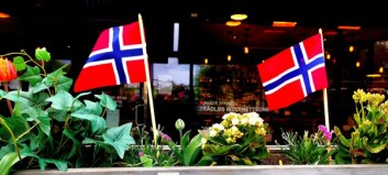 New-to-Norway Guide to the 17th of May