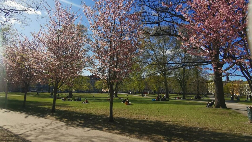 Sofienbergparken Sofienbergparken