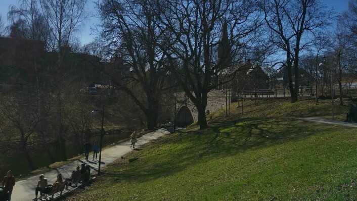 Why not go for a nice walk along the Akerselva, which runs through Grünerløkka.