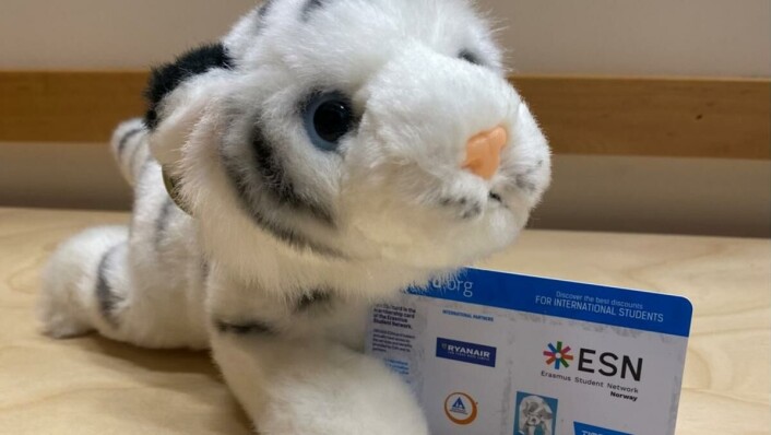 ESN card ESN card
