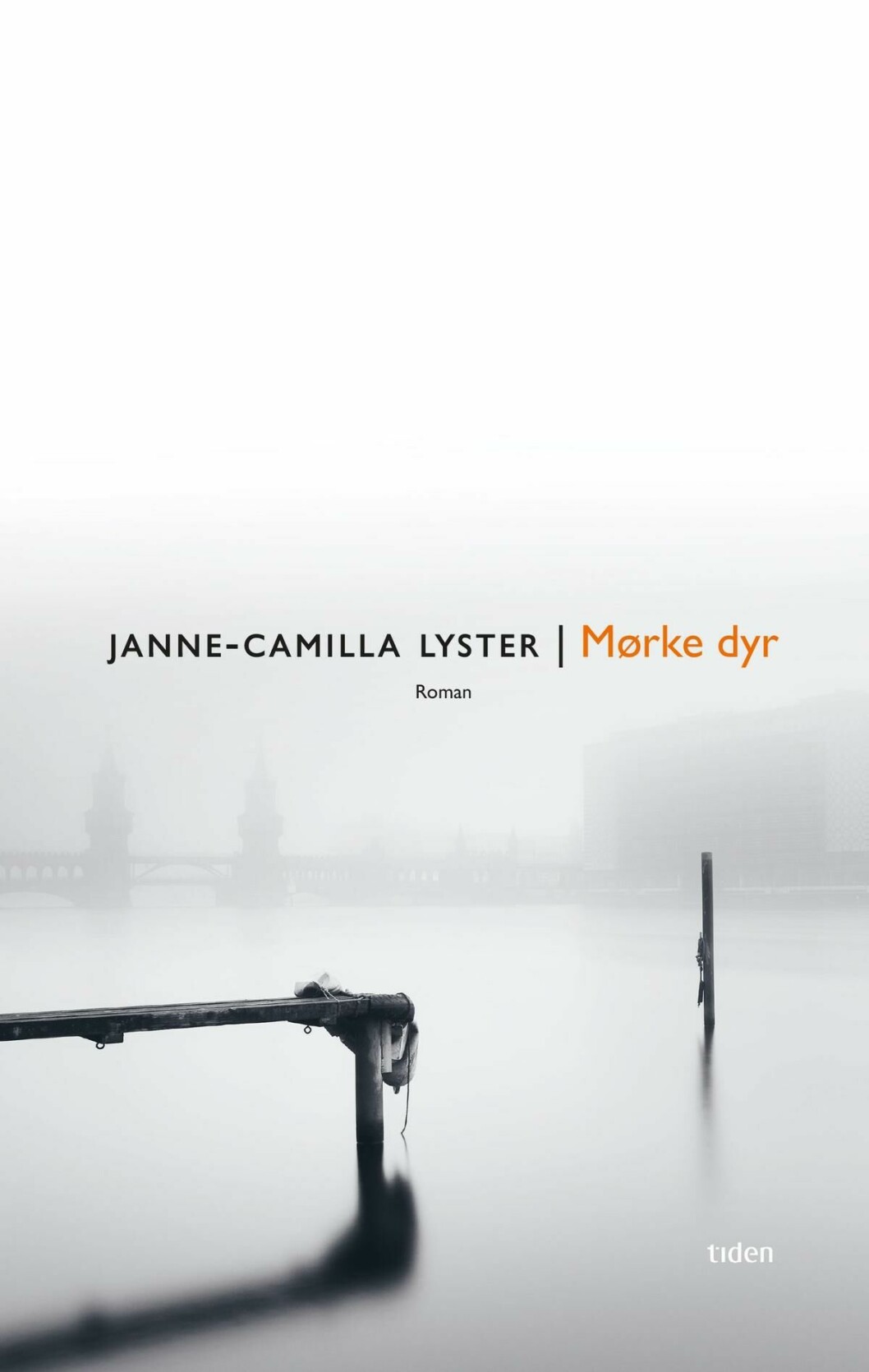 VENTETID: De store høydepunktene lar vente på seg i Janne-Camilla Lysters debutroman, skriver Universitas' anmelder.