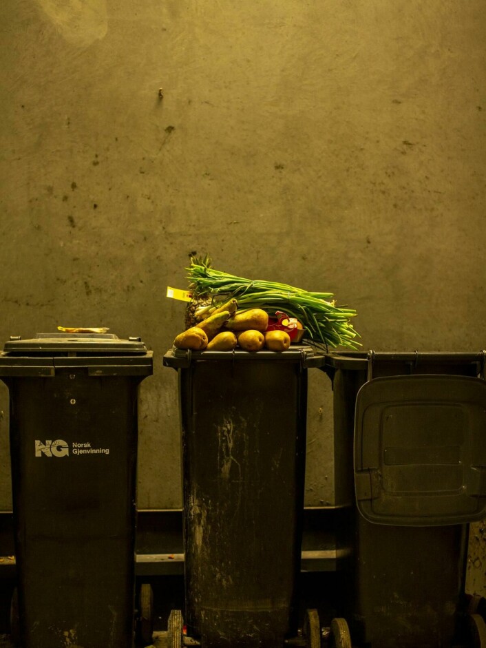 Søppelmat: Pærer, ananas, epler og vårløk var bare noe som dras opp av søppelbøttene.