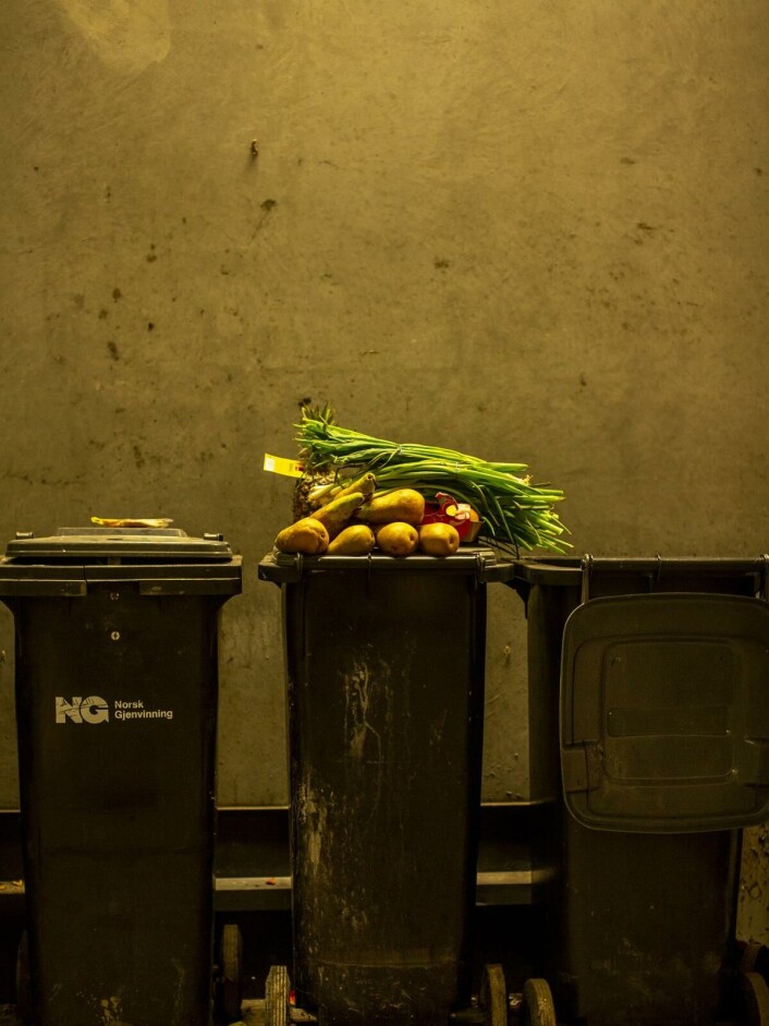Søppelmat: Pærer, ananas, epler og vårløk var bare noe som dras opp av søppelbøttene. Søppelmat: Pærer, ananas, epler og vårløk var bare noe som dras opp av søppelbøttene.