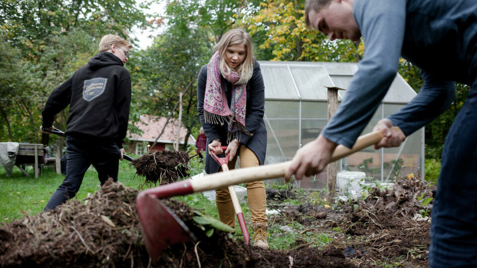 Sunn jord: Jorda Blindern Studenthage bruker her fikk de gratis via Craigslist. Organisasjonen prøver å få tak i gratis materialer, og benytter seg gjerne av gjenbruk.