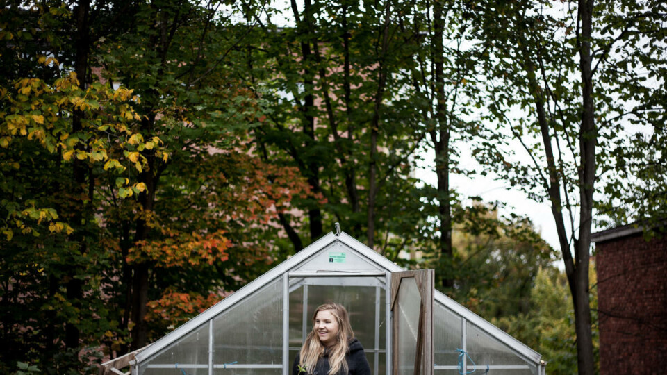 Tømmer drivhuset: Biologistudenten Roxane Richard fra Frankrike tar med seg krydderplanter fra drivhuset hjem før vinteren.