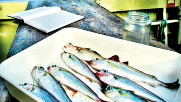 Tran is a brand of cod liver oil and therefore rich in Omega-3, vitamins D, A and E. Tran is a brand of cod liver oil and therefore rich in Omega-3, vitamins D, A and E.