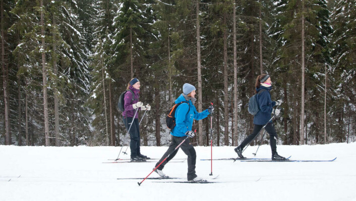 Hot tip: cross-country skiing at night through a forest is an unmissable experience! Hot tip: cross-country skiing at night through a forest is an unmissable experience!