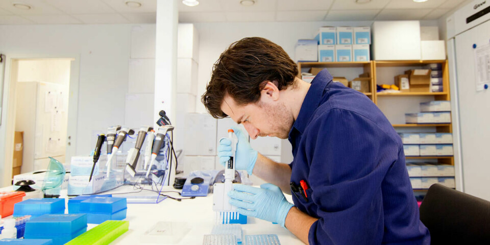 Tester: En medarbeider ved Fürst Medisinske Laboratorium jobber med å teste urinprøver for klamydia.