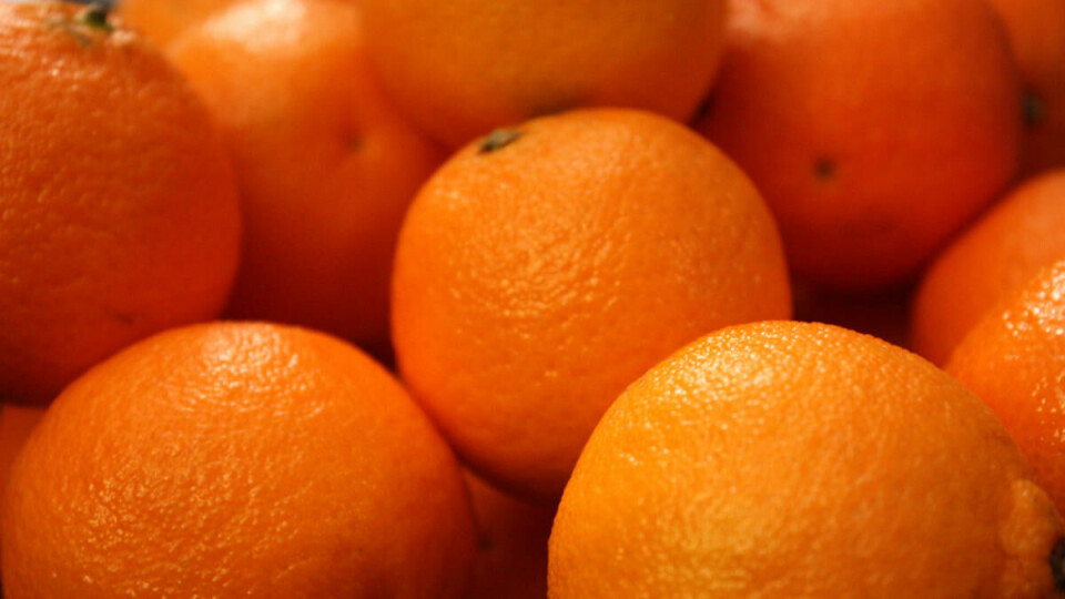 Klementin: Denne krysningen av mandarin og pomerans har blitt en populær førjulssnacks for det norske folk. FOTO: SarahInDisgiuise/Flickr