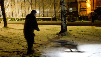 På sporet: Hans Olav Nilsen trenger lys mens Kvikk bruker nesa for å søke i snøen.