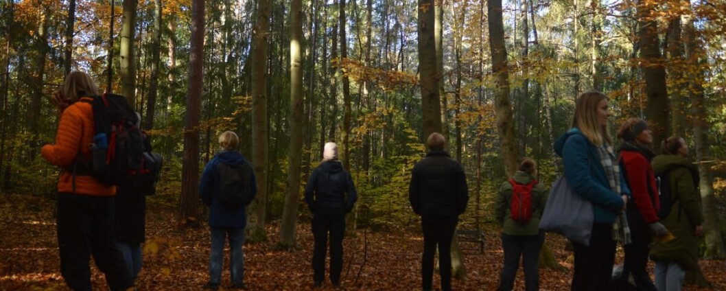 Nyfrelste treklemmere?: Deltagerne benytter seg av alle sansene sine denne høstdagen. Treklemming, meditasjon og lukting på blader står på programmet. Nyfrelste treklemmere?: Deltagerne benytter seg av alle sansene sine denne høstdagen. Treklemming, meditasjon og lukting på blader står på programmet.