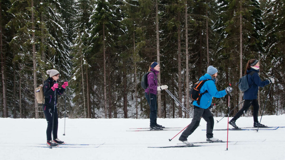 TOP FIVE: Post-Easter activities in Oslo
