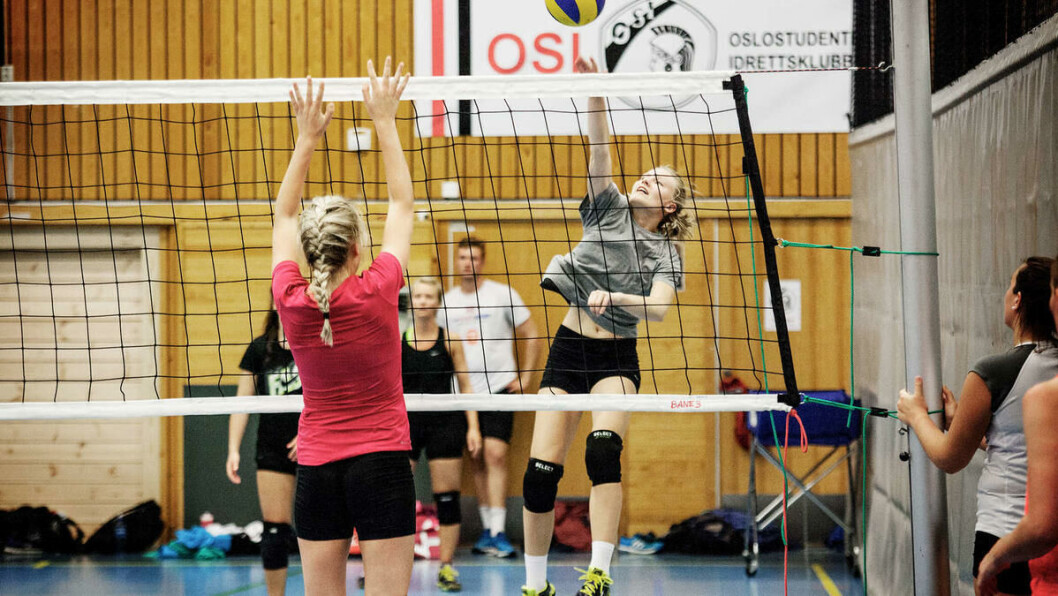 Volleyball-trening i Blindernhallen: Disse og andre medlemmer av Oslostudentenes Idrettsklubb går en mer usikker fremtid i møte takket være kutt i organisasjonens økonomi. Volleyball-trening i Blindernhallen: Disse og andre medlemmer av Oslostudentenes Idrettsklubb går en mer usikker fremtid i møte takket være kutt i organisasjonens økonomi.