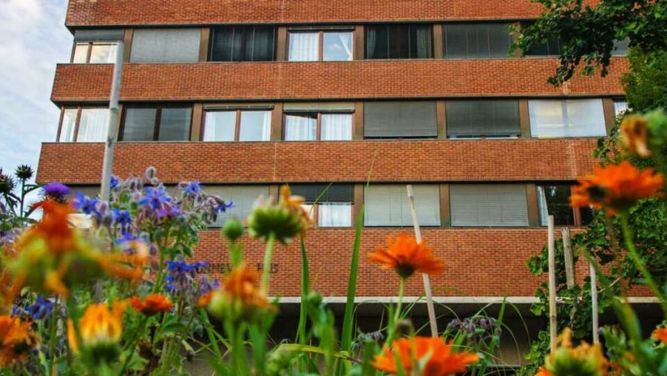 UiO klatrer på universitetsranking