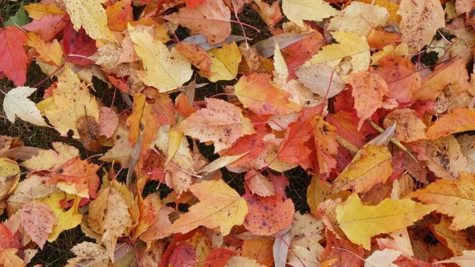 October 2 - October 8
