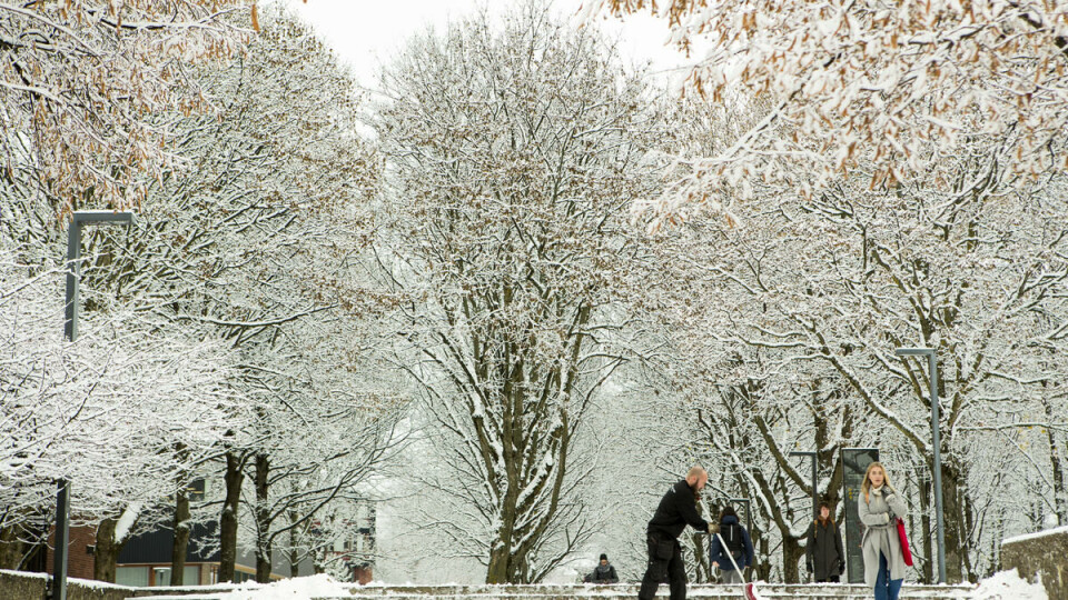 Arkiv photo: Erlend Daae