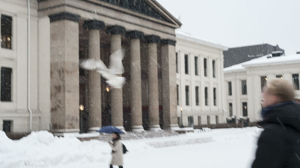 UiO did not de-ice around the Faculty of Law – now they’re being fined