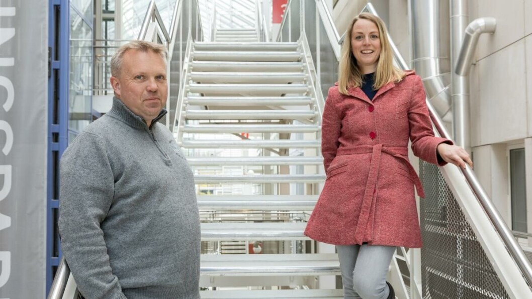 Et kraftsenter: Etableringen av et bærekraftsenter i Oslo er blant forslagene som diskuteres i arbeidsgruppen for klima- og miljø. Et kraftsenter: Etableringen av et bærekraftsenter i Oslo er blant forslagene som diskuteres i arbeidsgruppen for klima- og miljø.