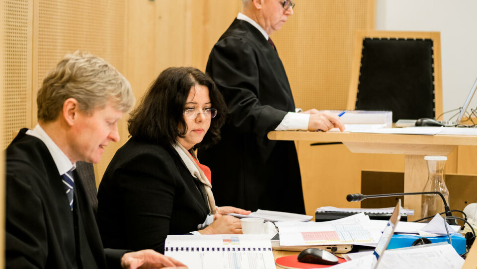 BESTEMT: En tydelig preget Roya Sabetrasekh hjalp prosessfullmektigene med å holde styr på sakspapirenes mer fagtekniske aspekter.