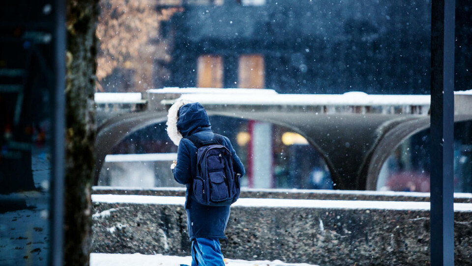 Freezing: This is what it looked like last year when winter arrived. Photo: Adrian Nielsen.