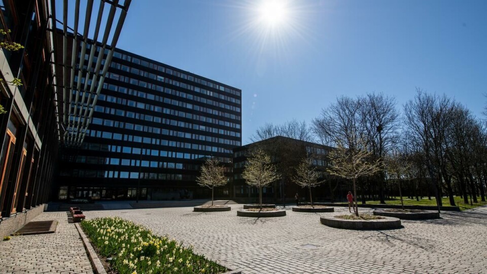 Oslo goes back into lockdown – campus remains open