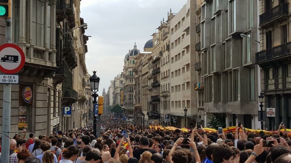 Foto: Sergi Morillo