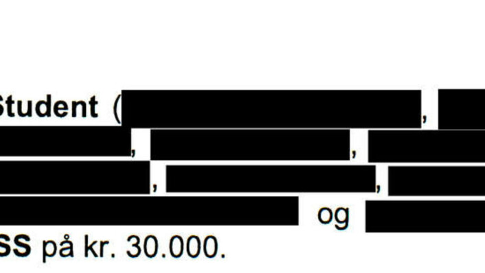 Punkt 2: Se hele kontrakten nederst i saken Punkt 2: Se hele kontrakten nederst i saken