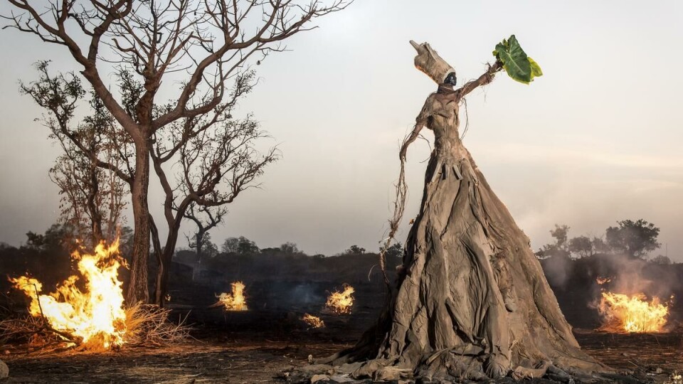 Lighting up the Norwegian museum scene with a selection of African art
