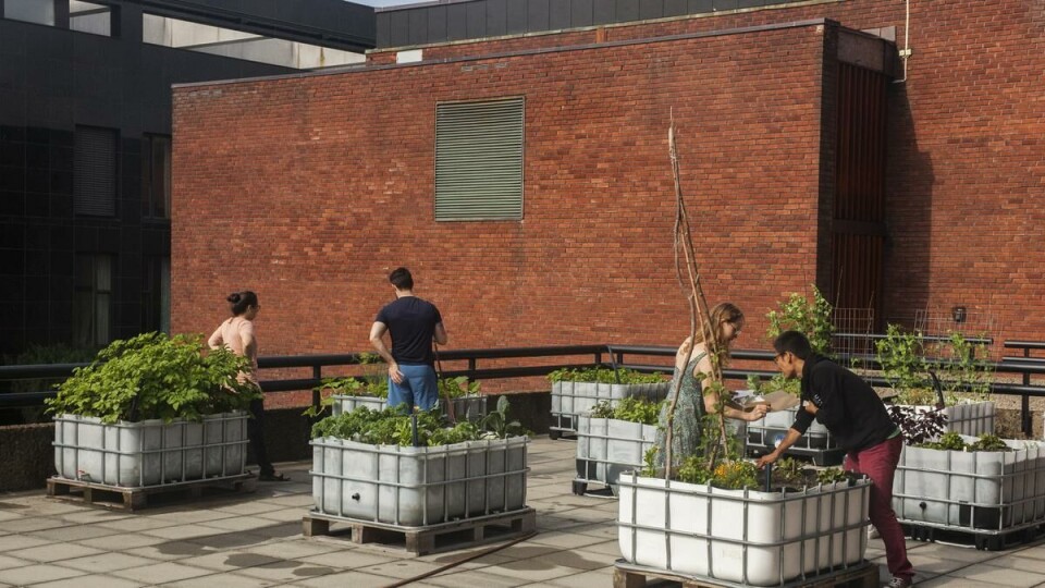 SAMHOLD: Gjengen er samlet for å diskutere arrangementer for semesteret