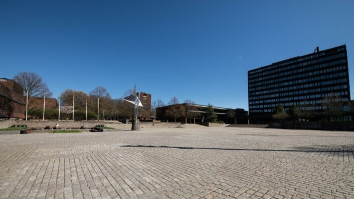 TOM CAMPUS: UiO-rektor Svein Stølen tror han vil se studenter i et bra antall til høsten. TOM CAMPUS: UiO-rektor Svein Stølen tror han vil se studenter i et bra antall til høsten.