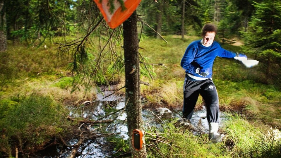 MYRLENDT: Det ser kanskje idyllisk ut, men det er overraskende mye myr i traktene rundt Tryvann.