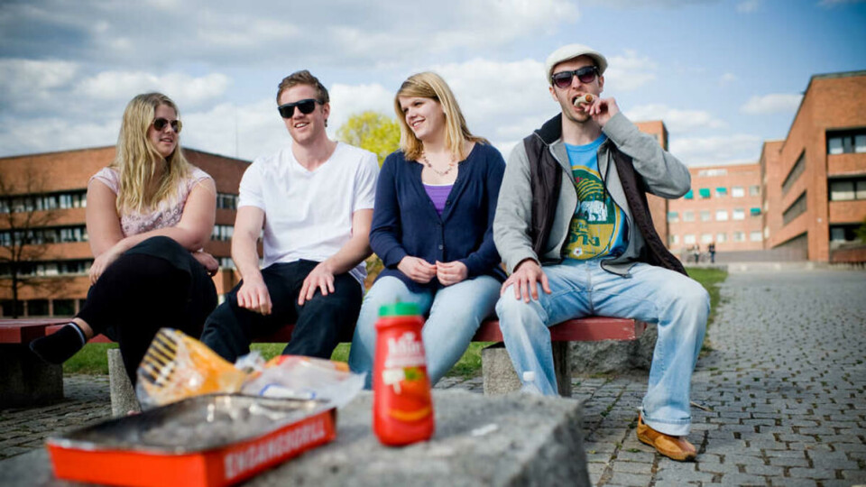 IRONISK OM FYSIKKBYGGET: På gressletten foran fysikkbygget er sommerklisjéen komplett. Men til tross for øl, grillpølser og fjordutsikt, mener farmasistudentene at Blindern neppe er indrefileten av Oslo: -- Nei, nei, vi må jo sitte og se på fysikkbygget, sier Anette Engnes lettere ironisk. F.v. Josefine Eilsø Nielsen, Erlend Johannessen Egeland, Anette Engnes og Øyvind Hatlelid.