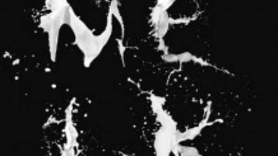 Melkeruta: Stavlund tar oss med på en reise gjennom melkas kulturhistorie, men forteller også historien om sin egen families forhold til melk.