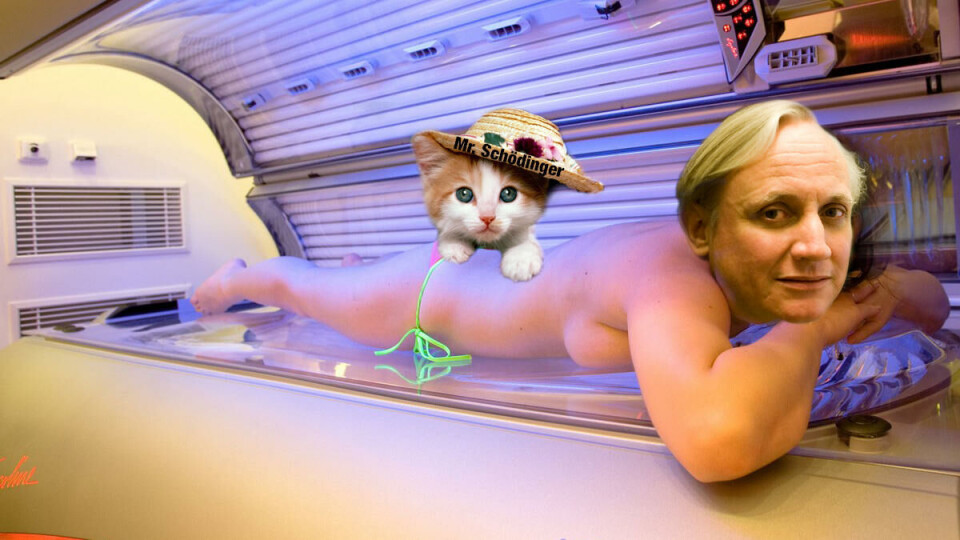 Snakker med katter: Professor i biologi, Kristian Gundersen, hevder katter har belegg til å uttale seg om det lave kunnskapsnivået til journalister.
FOTOMANIPULASJON: Ketil Blom