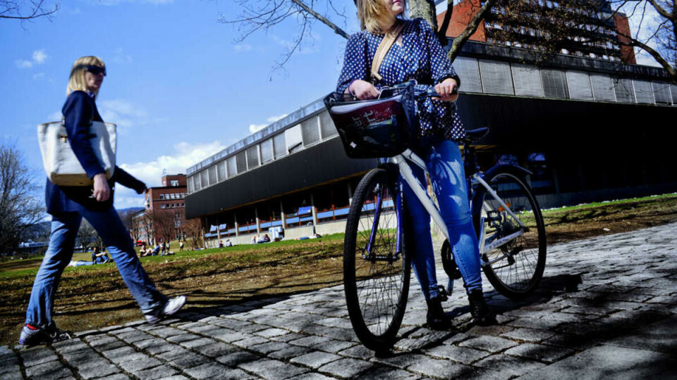 Trygg: Jeg har to låser, men føler sykkelen er såpass trygg på Blindern at jeg bruker kun den ene, sier Ellisiv Mork (32).