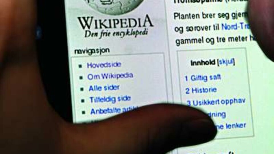SÅRBAR: Wikipedia er i sin natur sårbar for sabotasje, sier Krister Brandser.