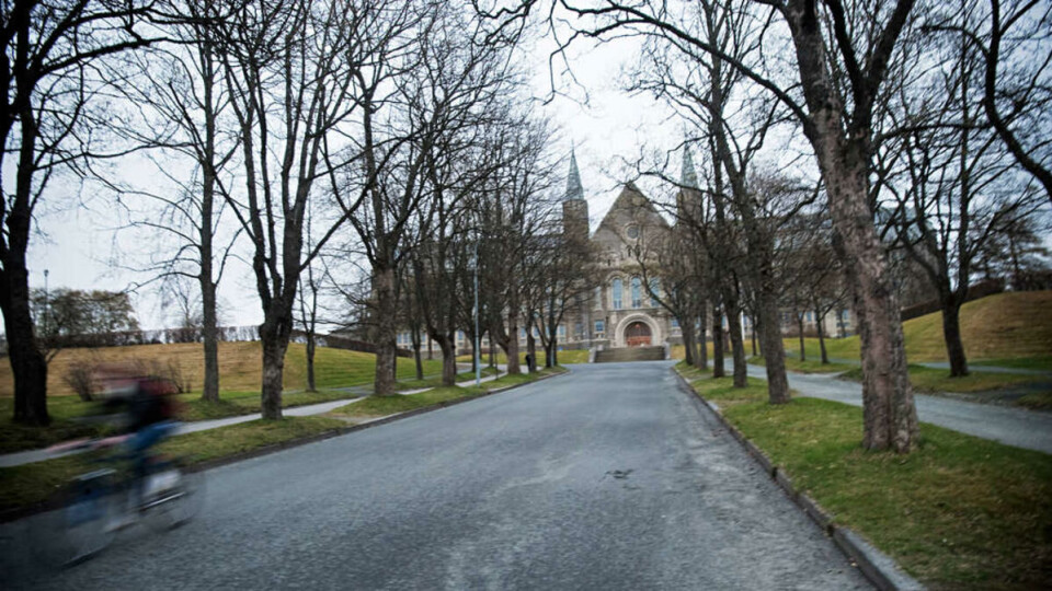 – NTNU the best educational institution