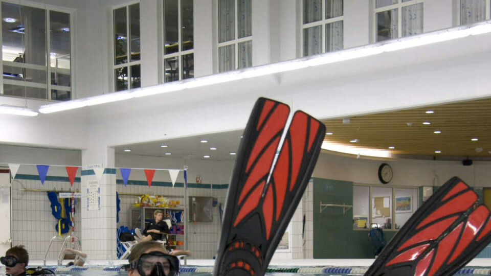 HAIFRI SONE: Det er ikke hai i bassenget på Domus Athletica. I Oslofjorden finner du derimot gigantiske plantonetende hai, også kalt brugder.