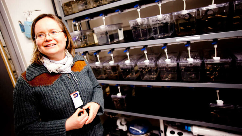Stor vannlekkasje i biologibygget