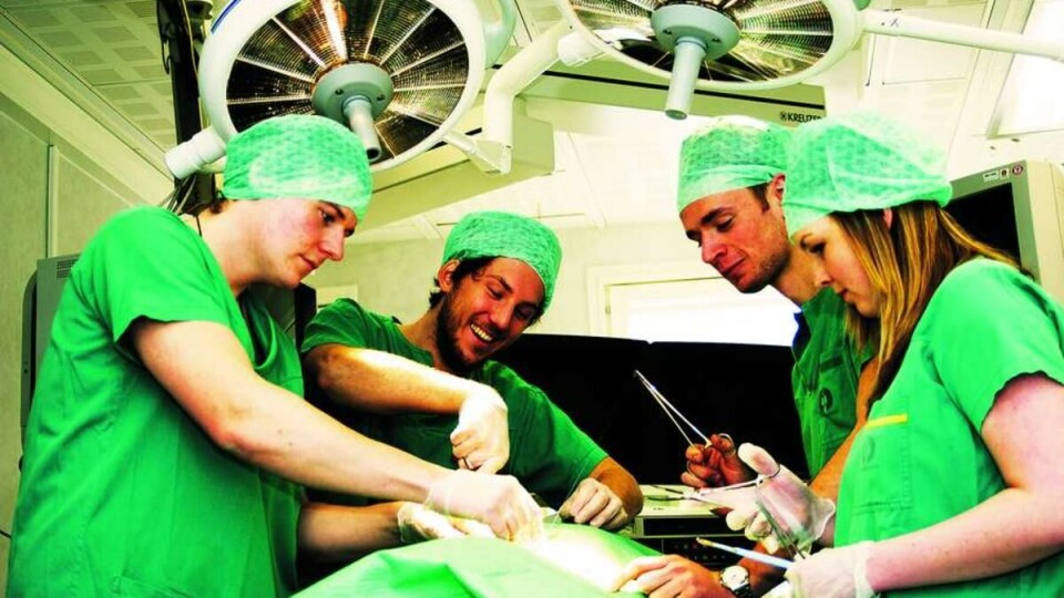 INTO THEIR OWN HANDS: Morbus Medicus would like for Medicine to be self-governed. From the left: Petter Risøe, Andreas Pahle, Ketil Slagstad and Hanne Valeur.