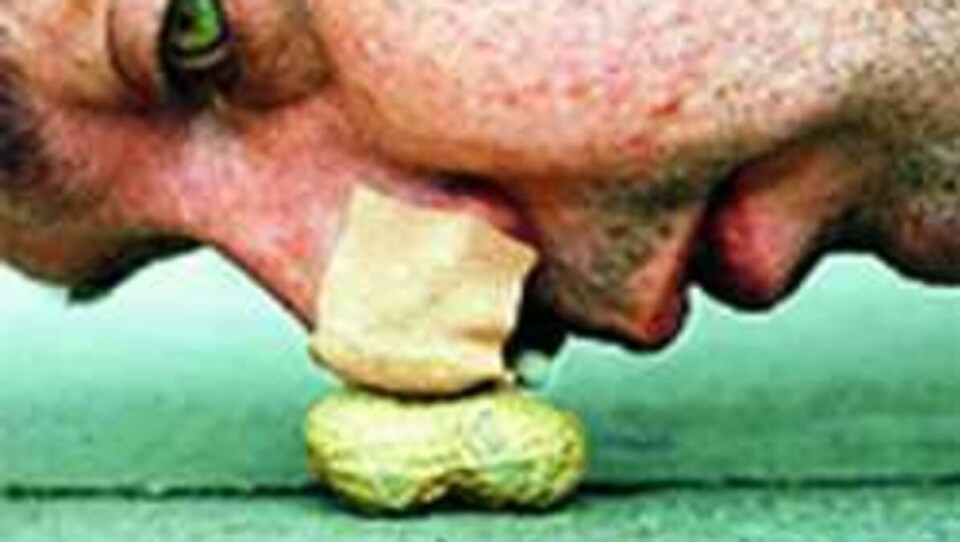 Mark McGowan