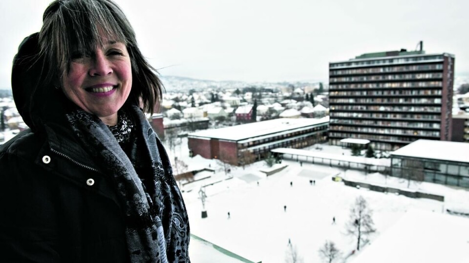 GAVEANSVARLIG: Seniorrådgiver Ingunn Wiig begynte i januar på oppgaven med å øke gaver og donasjoner til Universitetet i Oslo. – Man vil kanskje ikke se resultater med en gang, men det vil forhåpentligvis gi resultater på sikt, sier hun.