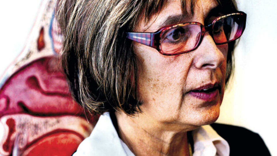 Å FORSTÅ: Vi håper å vise hvordan man forstår for å reprodusere sin egen forståelse på et annet språk, sier prosjektleder Antin Rydning.