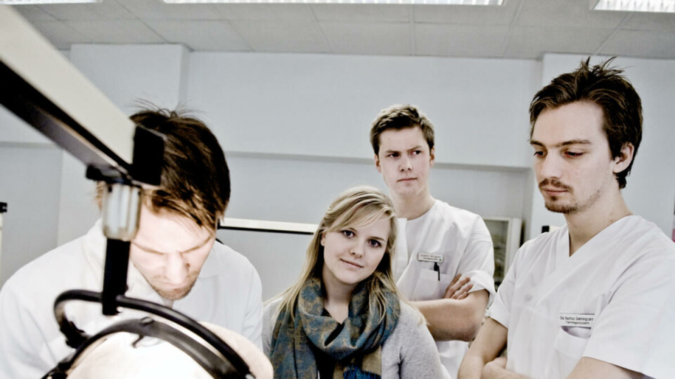 FEARS FEWER APPLICANTS: Raghild Henriksen, Anders Mosgren og Ola Rasmus Grønningseter at the student council at the Faculty of Dentistry are afraid that the recent headlines in the media about sexual harassment will frighten potential students from applying.