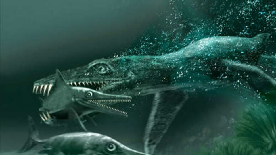 FORHISTORISK: Debatten om universitetsstatus preges av gammeldags tenkning, mener kronikøren. Her illustrert ved en pilosaurus.
Illustrasjon: Tor Sponga,BT (C) Naturhistorisk museum.