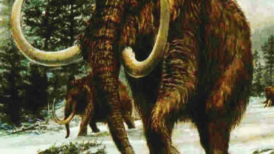 UTDØDD: Mammuten