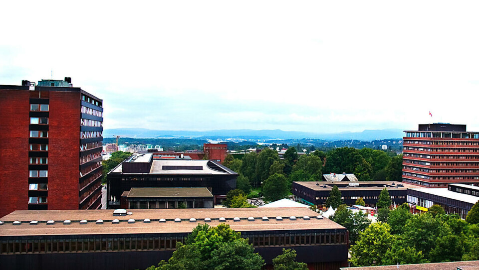 BLANT VERDENS BESTE: Universitetet i Oslo kommer på 65. plass i en ny universitetsrangering.