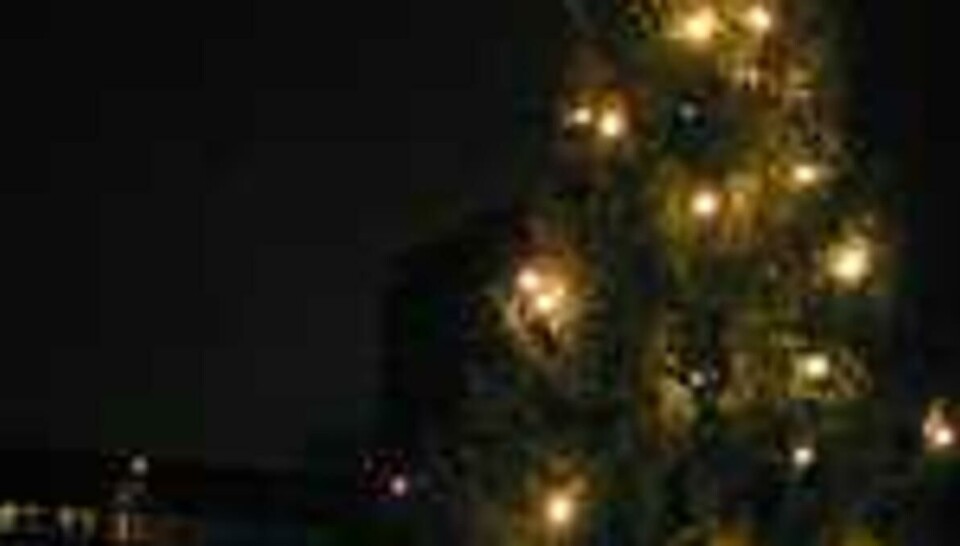 – Hvorfor står ikke juletreet midt på Frederikkeplassen?
